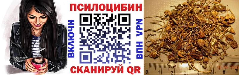 купить наркотик  ОМГ ОМГ tor  Галлюциногенные грибы Psilocybine cubensis  Темрюк 