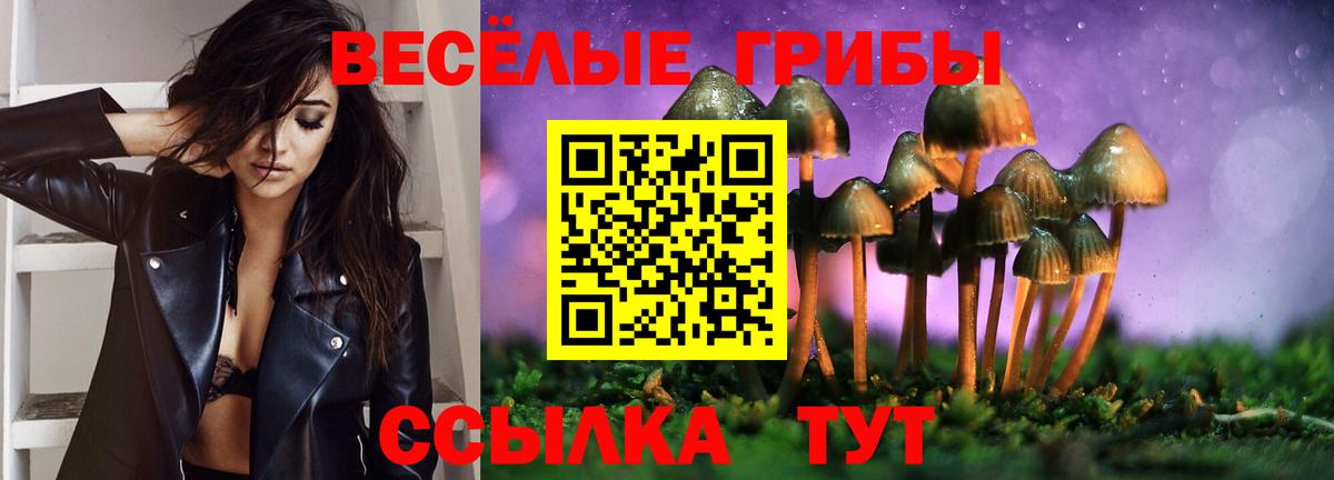 Псилоцибиновые грибы Psilocybine cubensis  Вход с VPN  Темрюк 