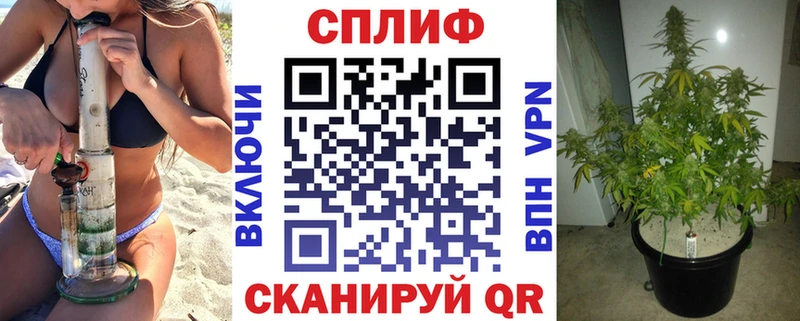 площадка какой сайт  Темрюк  Канабис SATIVA & INDICA 